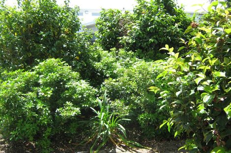 Photo of property in 2/22 Clare Road, St Albans, Christchurch, 8014