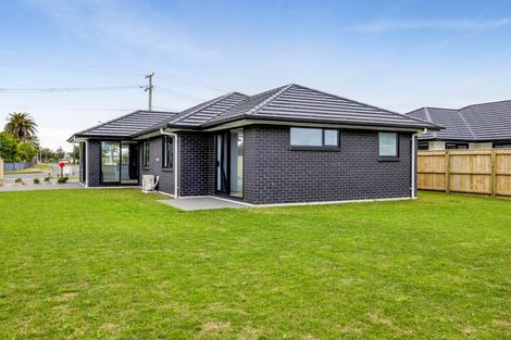 Photo of property in 130b Manawapou Road, Hawera, 4610