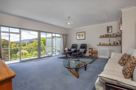 Photo of property in 42 Surrey Road, Richmond, 7020