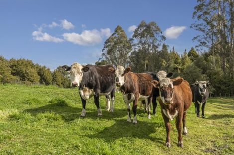 Photo of property in 86 Mountain Road, Oropi, Tauranga, 3173