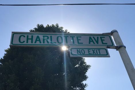 Photo of property in 19 Charlotte Avenue, Brooklyn, Wellington, 6021