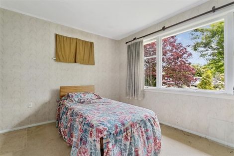 Photo of property in 58 Hinekura Avenue, Taupo, 3330