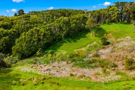 Photo of property in 87 M Greenwood Road, Leigh, 0972