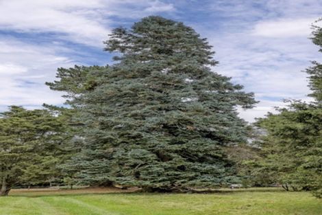 Photo of property in Sundrum, 52 Rae Road, Woodbury, Geraldine, 7991