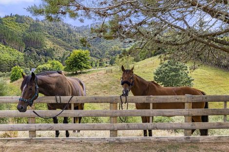 Photo of property in 1007 Old Mountain Road, Waitetuna, Raglan, 3295