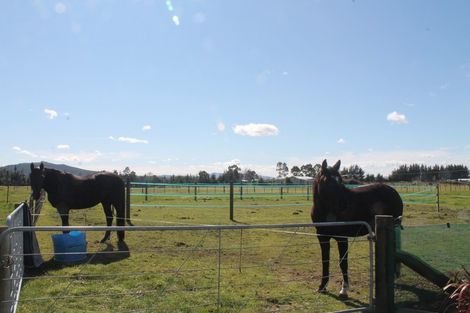 Photo of property in 114 White Road, Broadlands, Reporoa, 3081