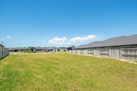 Photo of property in 55 Puhirake Crescent, Pyes Pa, Tauranga, 3112