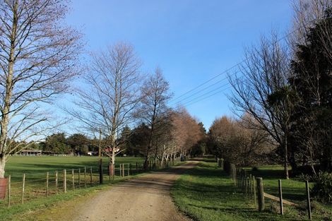 Photo of property in 95 Edgecombe Road, Ormondville, Takapau, 4287