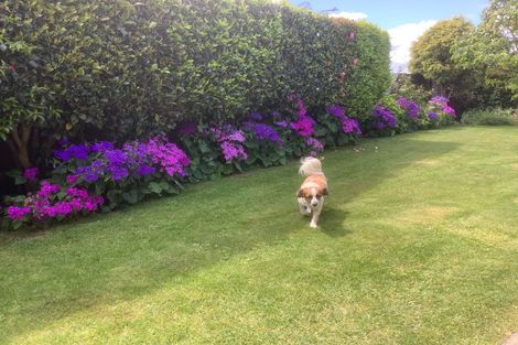 Photo of property in 65 Sunnyvale Street, Bell Block, New Plymouth, 4312