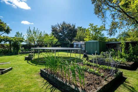 Photo of property in 24 High Street, Geraldine, 7930