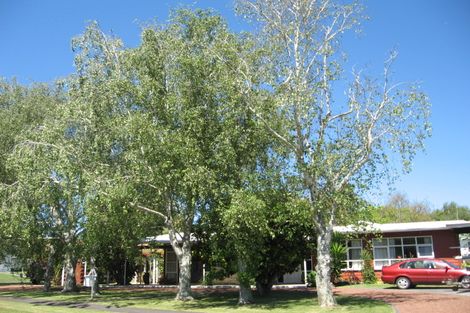 Photo of property in 25 Marian Drive, Inner Kaiti, Gisborne, 4010