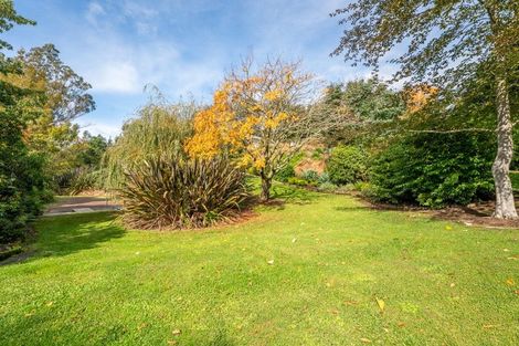 Photo of property in 41 Gaudion Road, Peebles, Oamaru, 9494