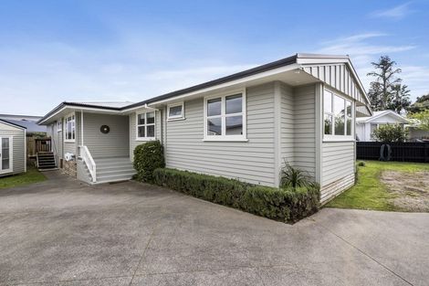 Photo of property in 59 Graham Avenue, Te Atatu Peninsula, Auckland, 0610