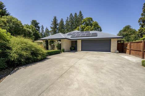 Photo of property in 55a Cox Street, Geraldine, 7930