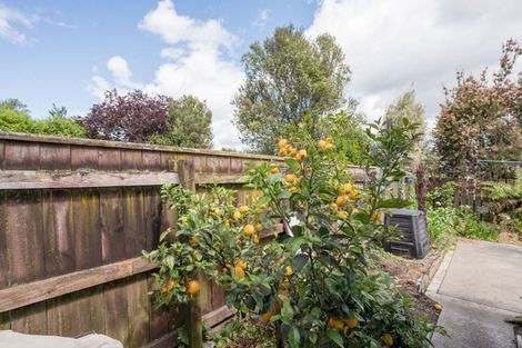 Photo of property in 23a Edward Street, Richmond, 7020