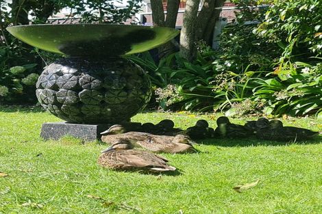 Photo of property in 216 Waiwhetu Road, Waterloo, Lower Hutt, 5011