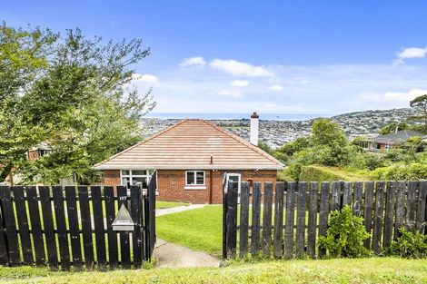Photo of property in 117 Forfar Street, Clyde Hill, Dunedin, 9011