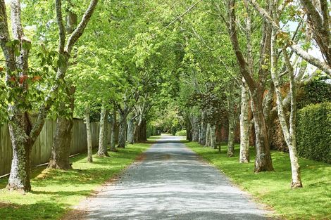 Photo of property in 174d Moffat Road, Bethlehem, Tauranga, 3110