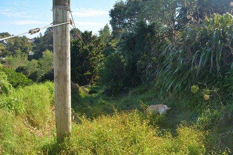 Photo of property in 446 Carrington Street, Upper Vogeltown, New Plymouth, 4310