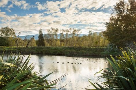 Photo of property in 13 Noble Johnston Drive, Katikati, 3129