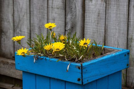 Photo of property in 1 Pohutukawa Grove, Titahi Bay, Porirua, 5022