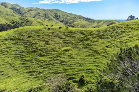 Photo of property in 122 Mickell Road, Hautere, Otaki, 5582