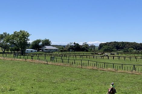 Photo of property in 157 Norfolk Road, Norfolk, Inglewood, 4388