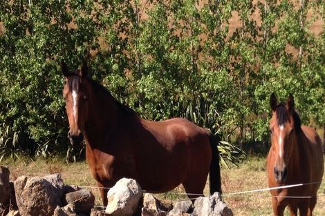 Photo of property in 747 Three Mile Bush Road, Ruatangata West, Kamo, 0185