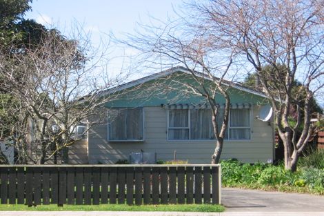 Photo of property in 22a Park Street, Foxton, 4814