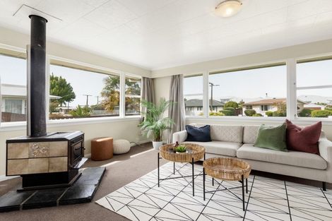 Photo of property in 19 Hale Street, Blenheim, 7201