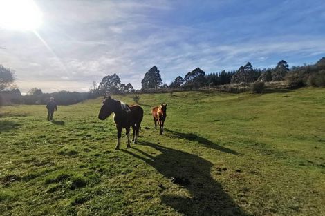 Photo of property in 29 Kaitieke Road, Raurimu, Owhango, 3990