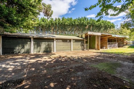 Photo of property in 297 Thornbury Waimatuku Road, Flints Bush, Riverton, 9883