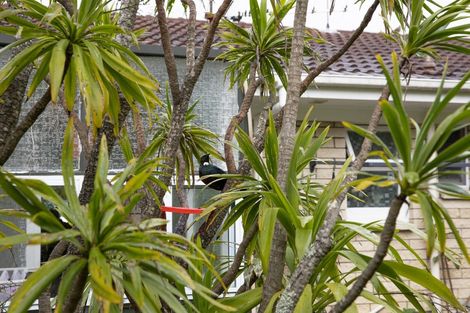 Photo of property in 3/23a Eversleigh Road, Belmont, Auckland, 0622