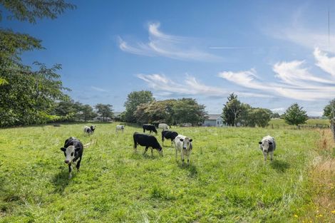 Photo of property in 84 Overdale Road, Putaruru, 3483