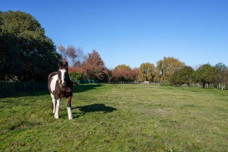 Photo of property in 135 Brunswick Drive, Tikitere, Rotorua, 3074