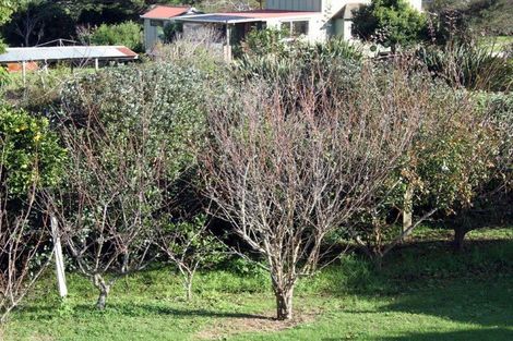 Photo of property in 11 Harbour View Road, Pukenui, Kaitaia, 0484