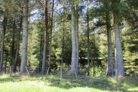 Photo of property in 122 Mossy Creek Road, Ikamatua, Totara Flat, 7871