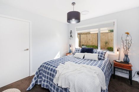 Photo of property in 163a Denbigh Street, Feilding, 4702