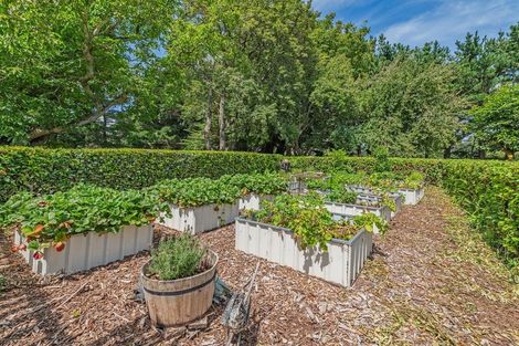 Photo of property in 176 Adams Road, Greendale, Christchurch, 7671