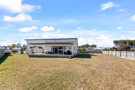 Photo of property in 19 Wai Matangi Place, Motuoapa, Turangi, 3382