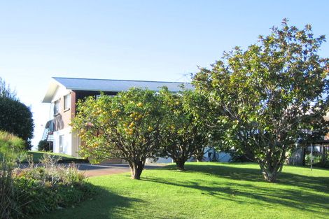 Photo of property in 69 Willjames Avenue, Algies Bay, Warkworth, 0920