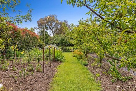 Photo of property in 71 Quayle Street, Motueka, 7120