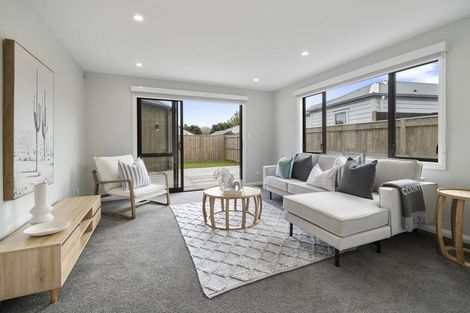 Photo of property in 17c Brightwater Terrace, Terrace End, Palmerston North, 4410