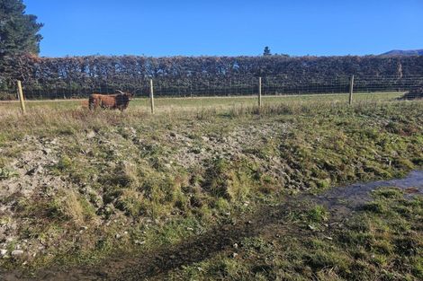 Photo of property in 404 Bush Road, Coopers Creek, Oxford, 7495