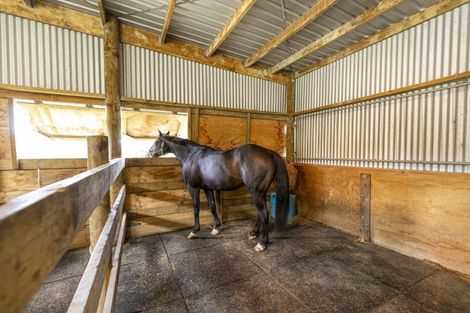 Photo of property in 263 Whitehills Road, Waitoki, Silverdale, 0994