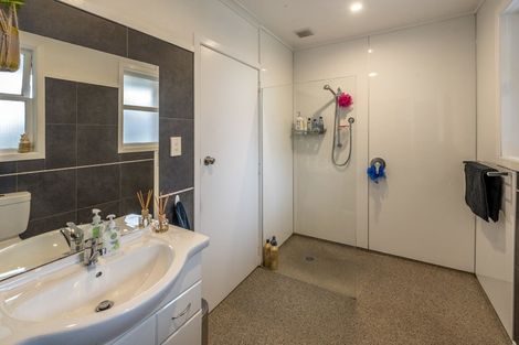 Photo of property in 593 Queen Street East, Levin, 5510