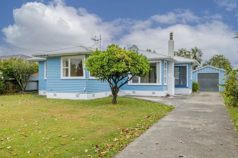 Photo of property in 33 Duke Street, Levin, 5510