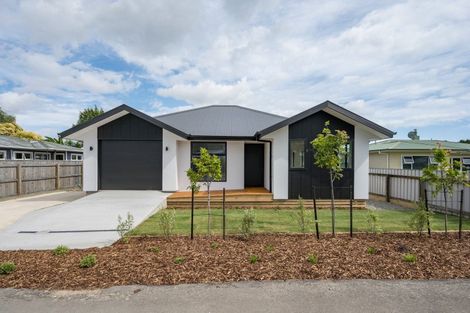 Photo of property in 15b Lowry Street, Richmond, 7020