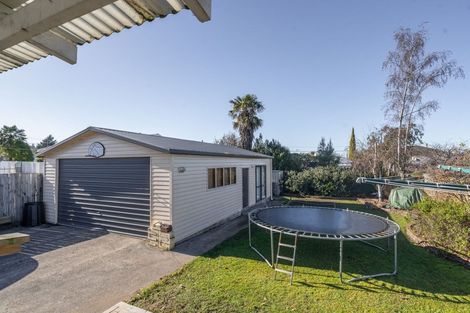 Photo of property in 16 Rimu Street, Lansdowne, Masterton, 5810