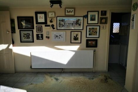 Photo of property in 41 Robertson Street, Glenholme, Rotorua, 3010